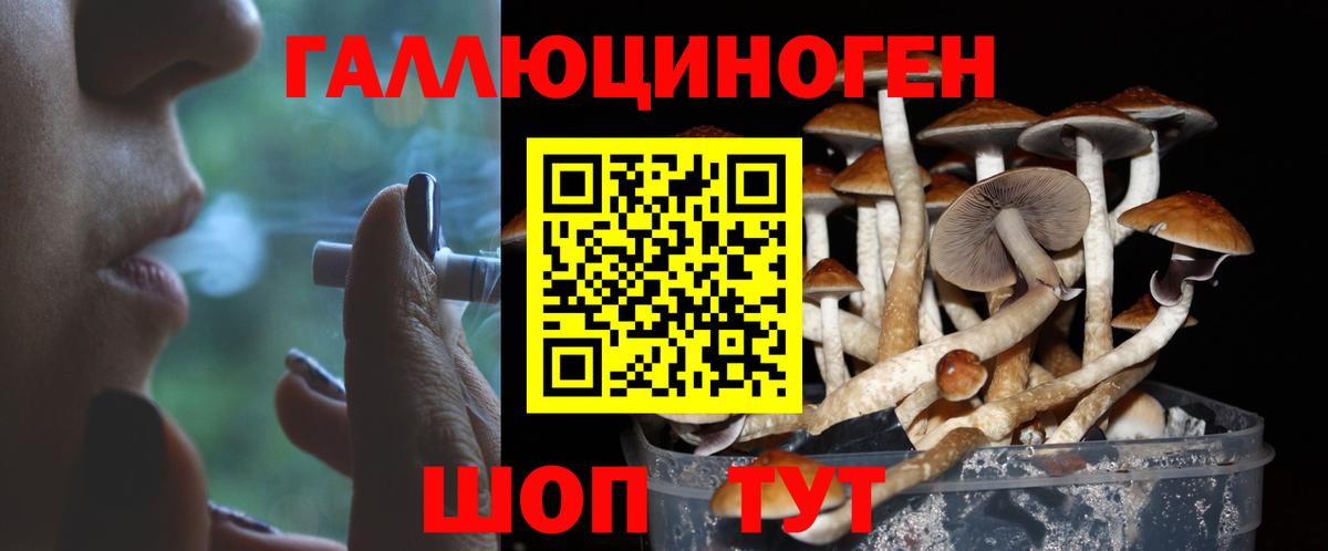 Великий Устюг  Псилоцибиновые грибы Psilocybe  Вход с VPN 